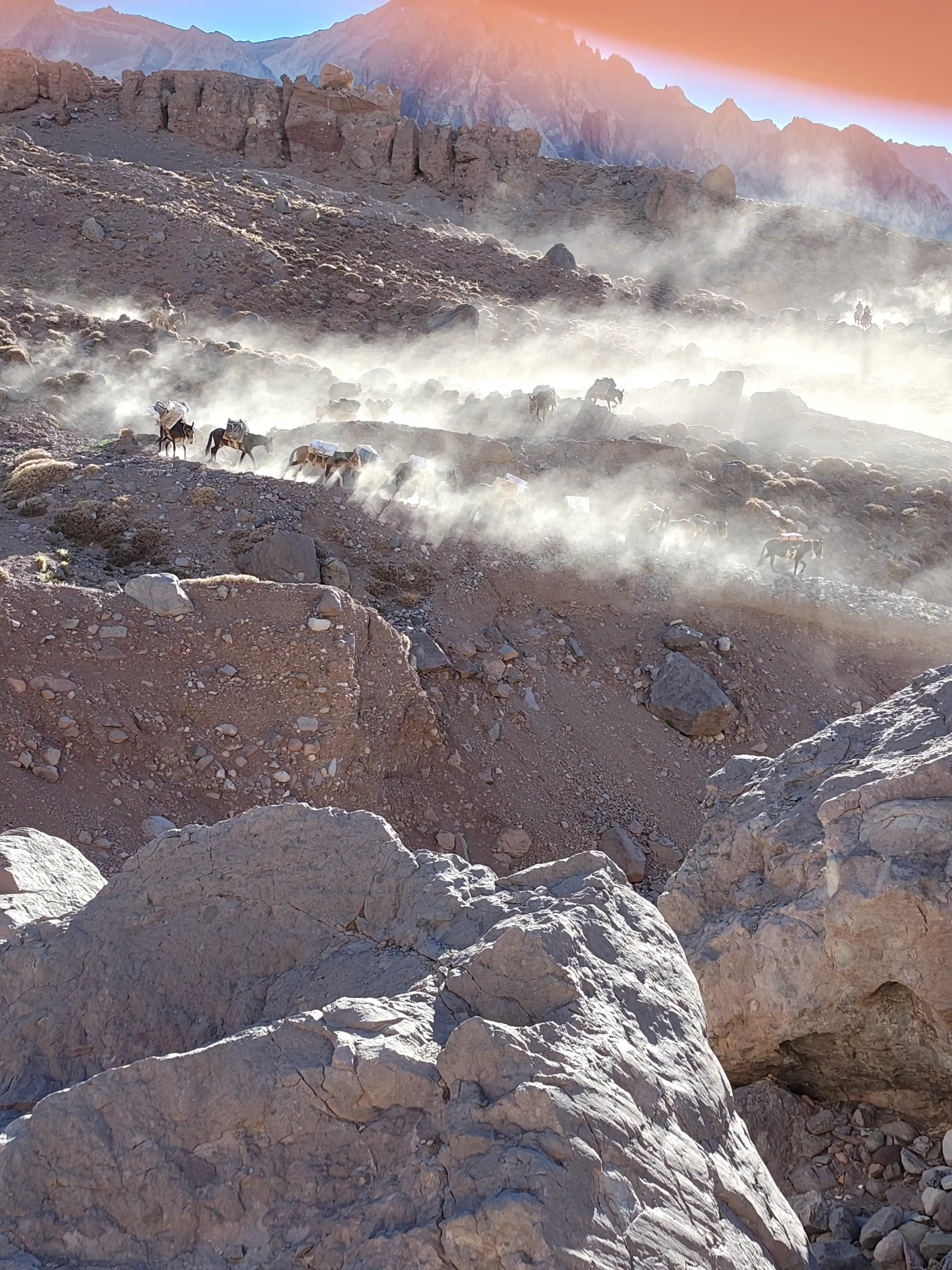 Mulas y arrieros, herramientas indispensables para lograr nuestros sueños.